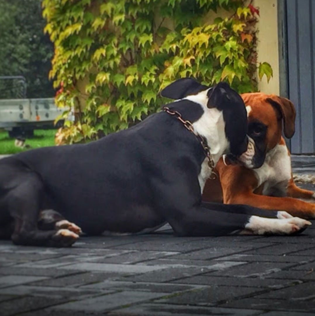 Oben links Bild